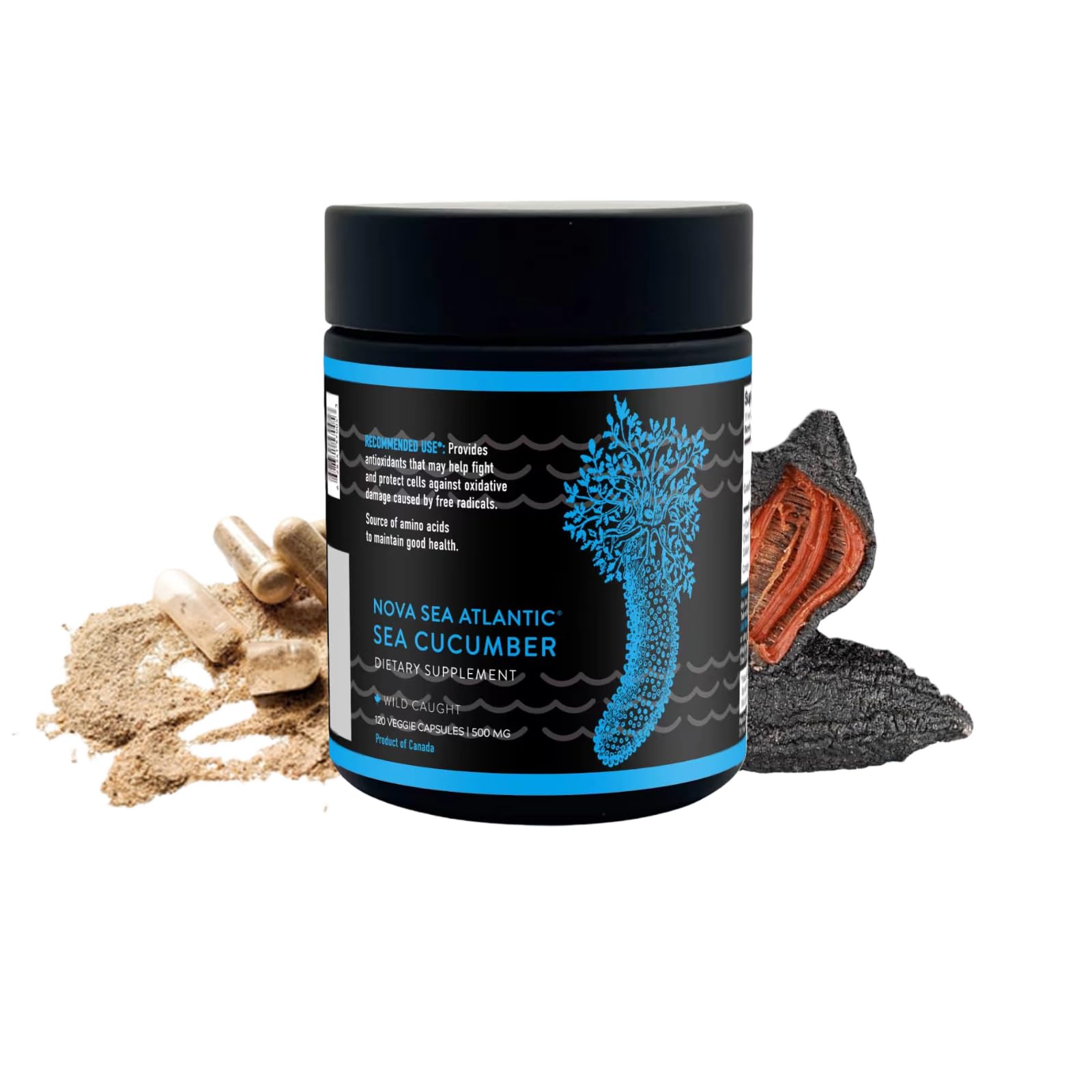 Nova Sea Atlantic sea cucumber capsules bottle for daily wellness