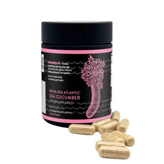 Nova Sea Atlantic Wild Sea Cucumber capsules bottle for daily antioxidant support
