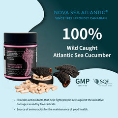 Nova Sea Atlantic Wild Sea Cucumber capsules closeup, easy daily wellness