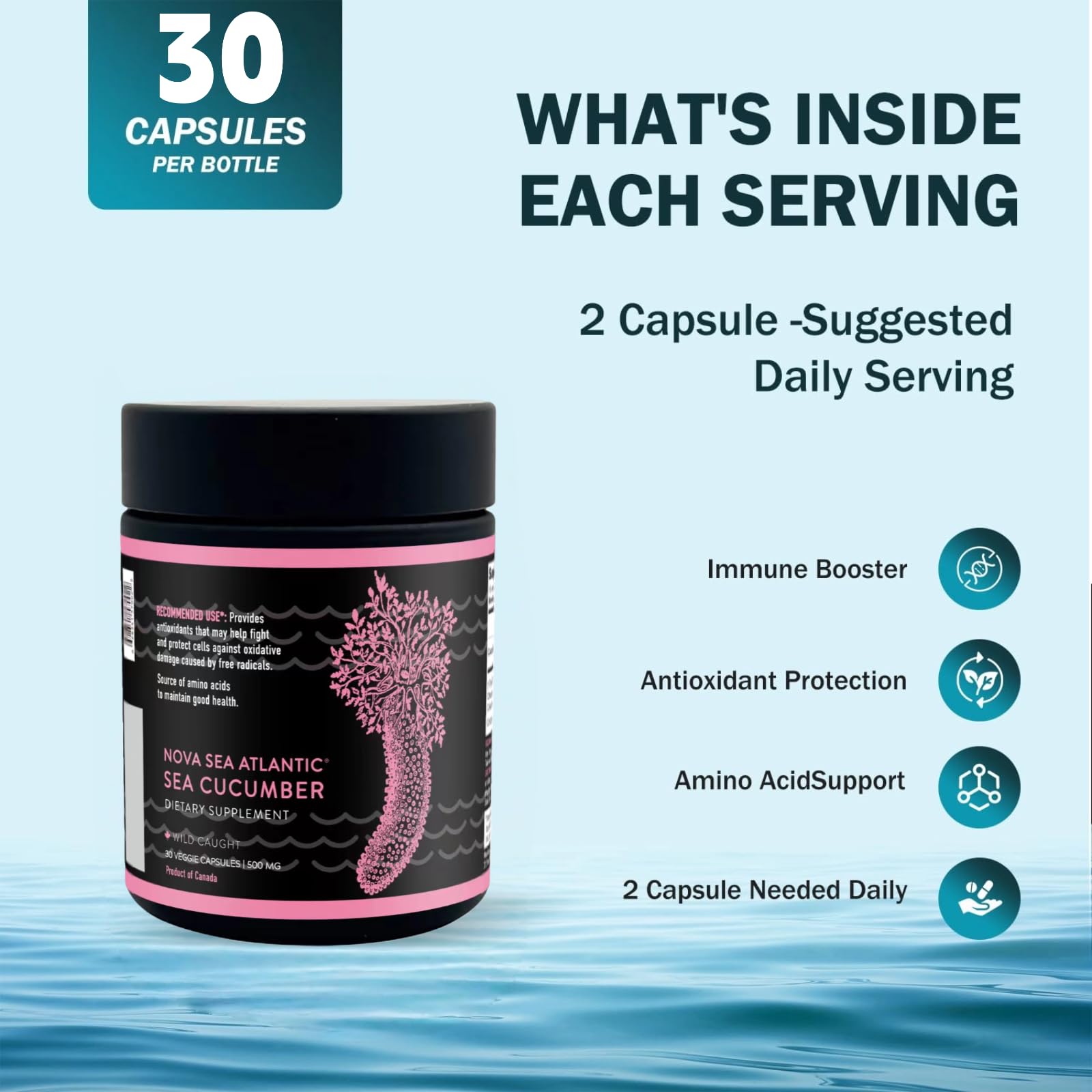 Nova Sea Atlantic Wild Sea Cucumber capsule jar for convenient use