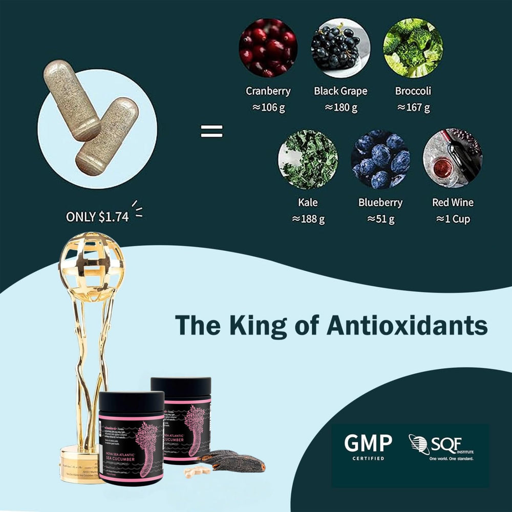 Nova Sea Atlantic Wild Sea Cucumber ingredients chart highlights key nutrients