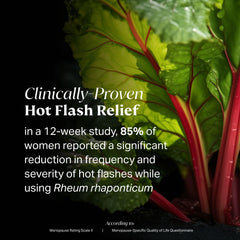 NOVAMD label close-up highlighting herbal blend and vitamins for menopause support.