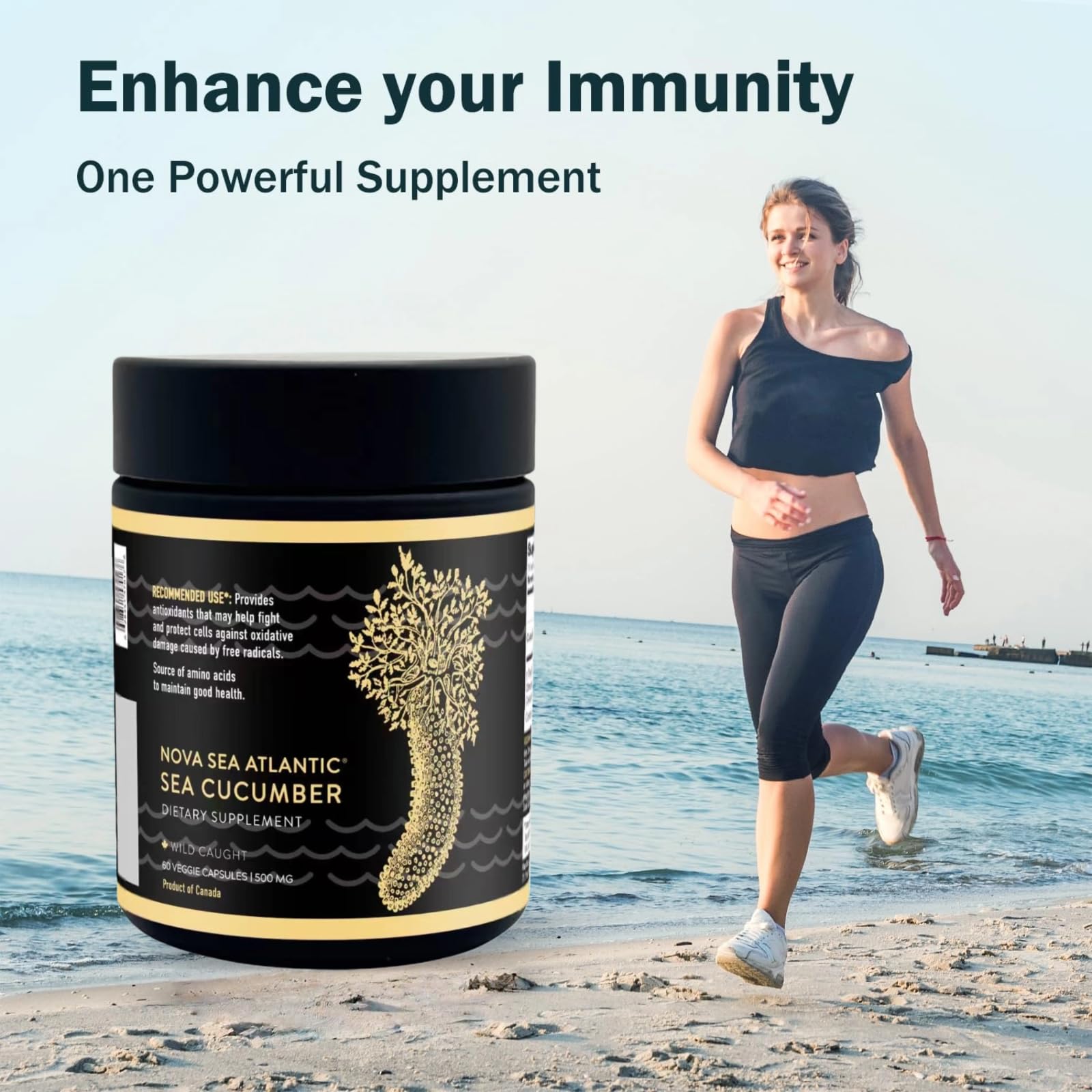 Joint-support visuals show sea cucumber benefits for mobility and comfort.