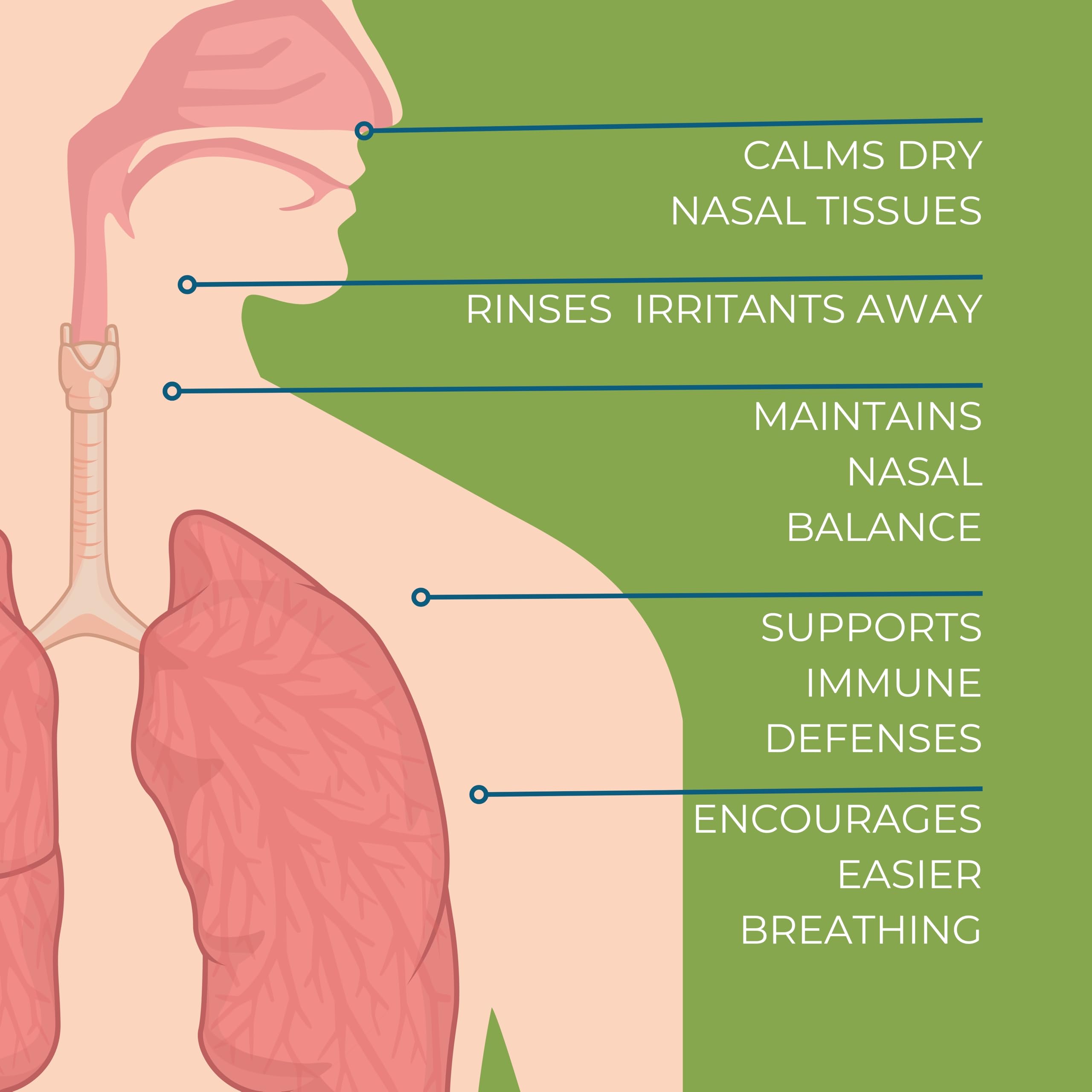 NOVEHA Xylitol Nasal Spray packaging close-up highlighting natural ingredients.