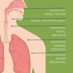 NOVEHA Xylitol Nasal Spray packaging close-up highlighting natural ingredients.