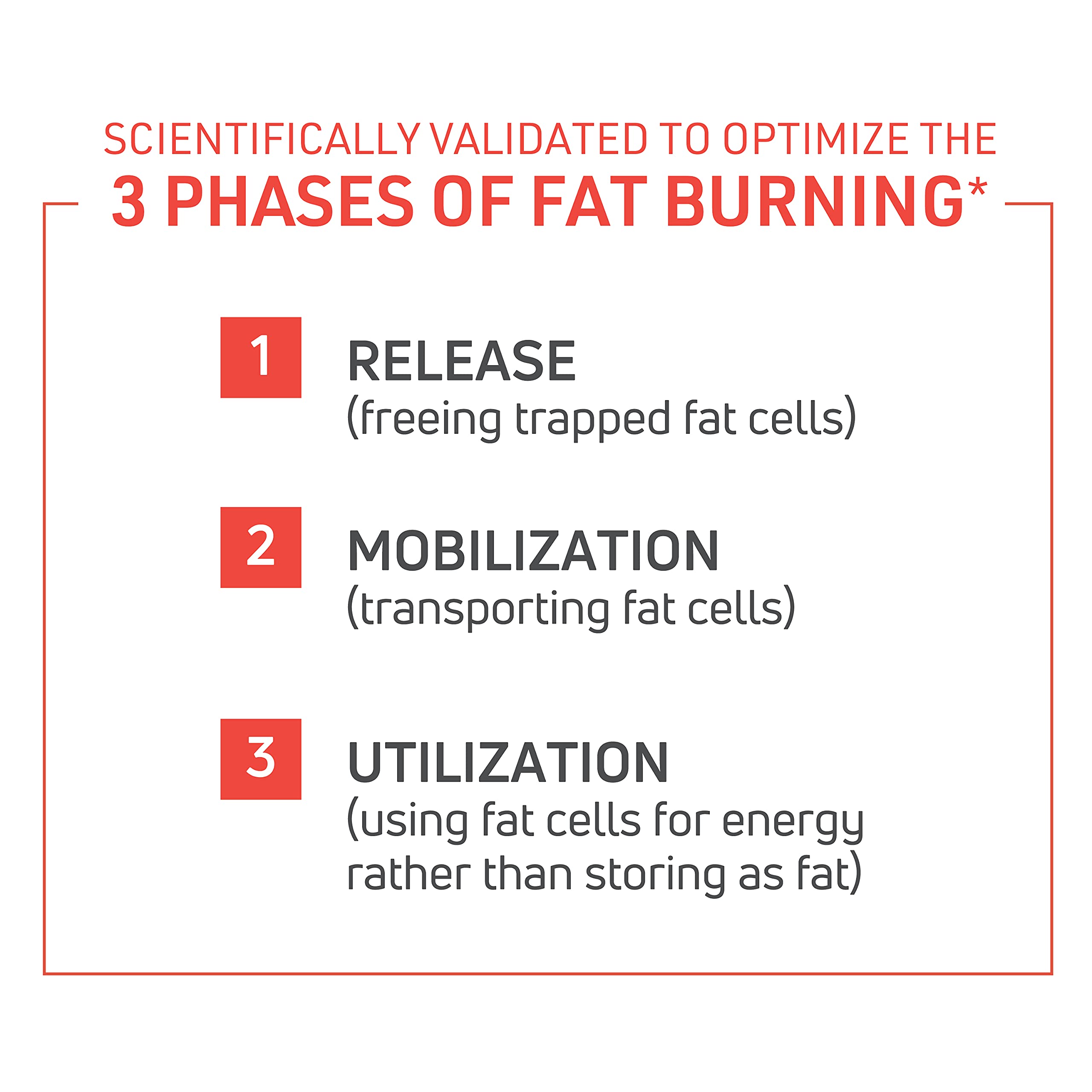Novex Biotech ThermoDyne label-view showing ingredients for metabolism-friendly fat burning