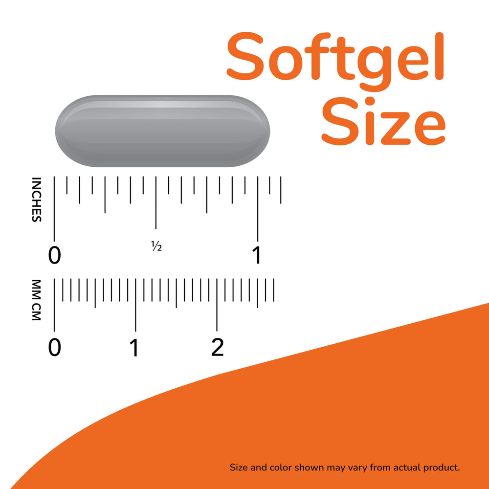 NOW Foods Plant Sterols and Fish Oil softgels visible in the capsule form for daily use