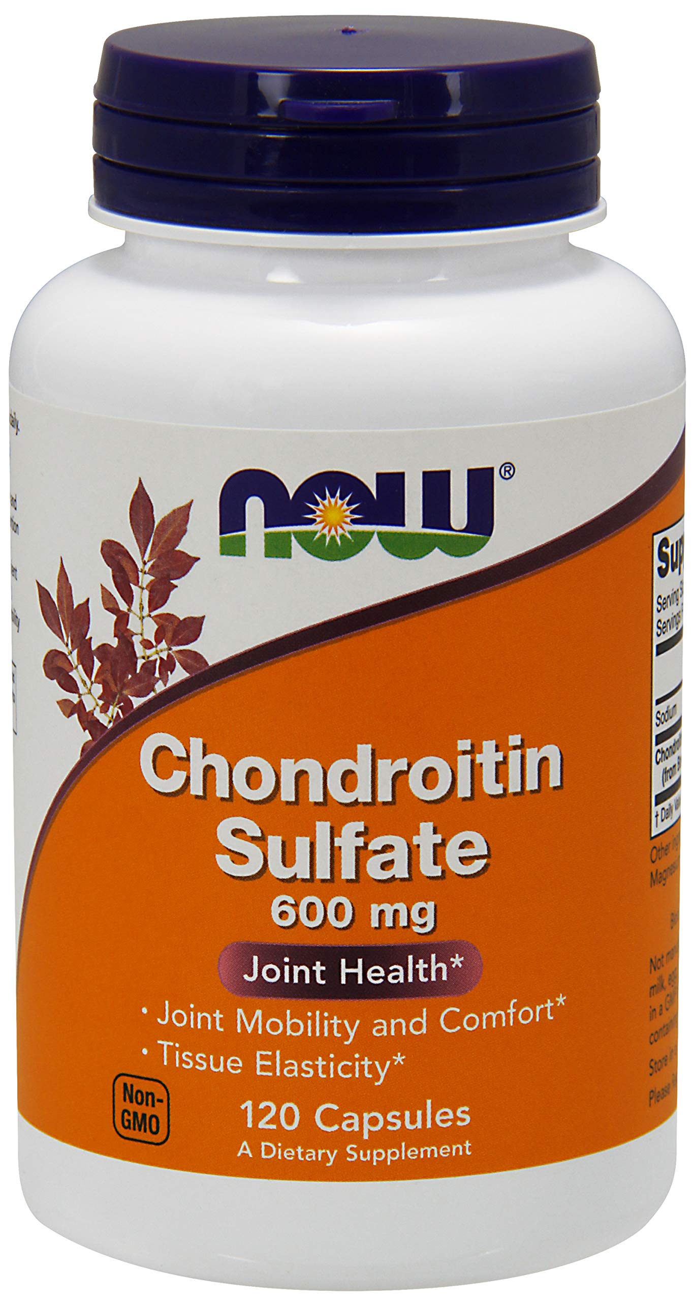 NOW Foods Chondroitin Sulfate 600mg bottle front view suggests joint support.