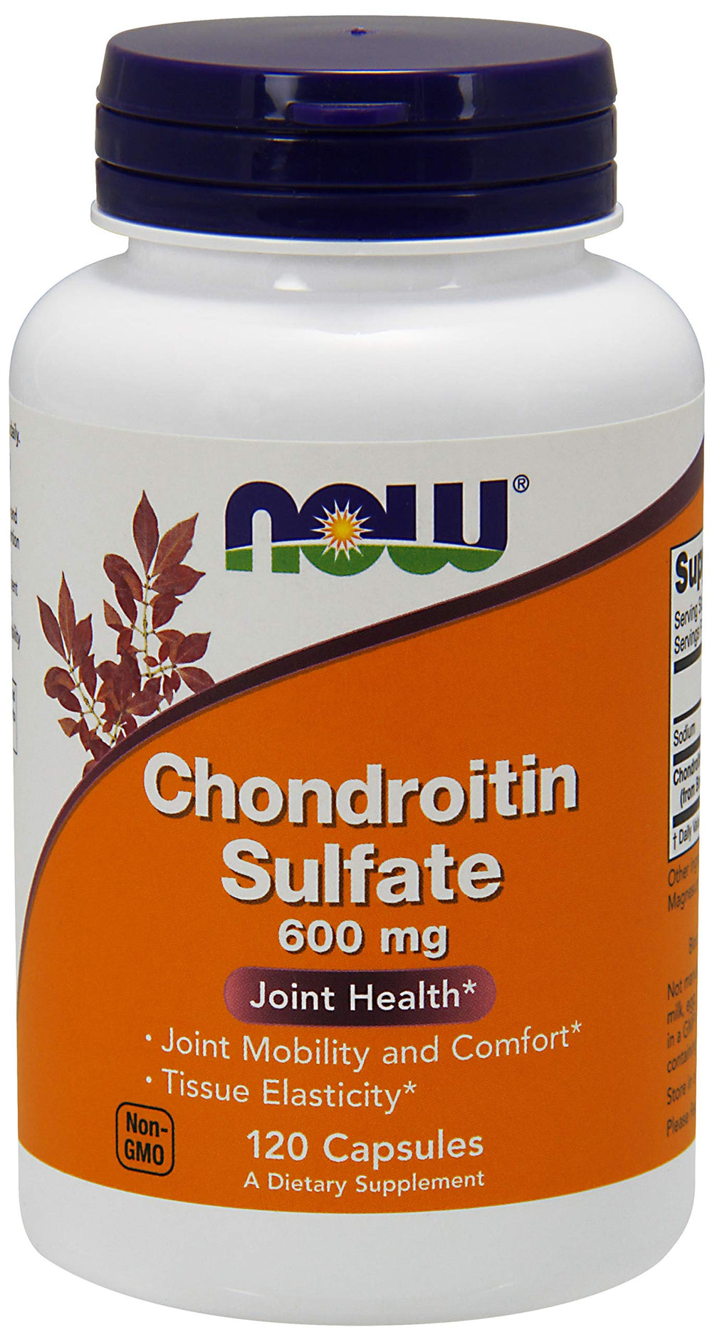 NOW Foods Chondroitin Sulfate 600mg bottle front view suggests joint support.