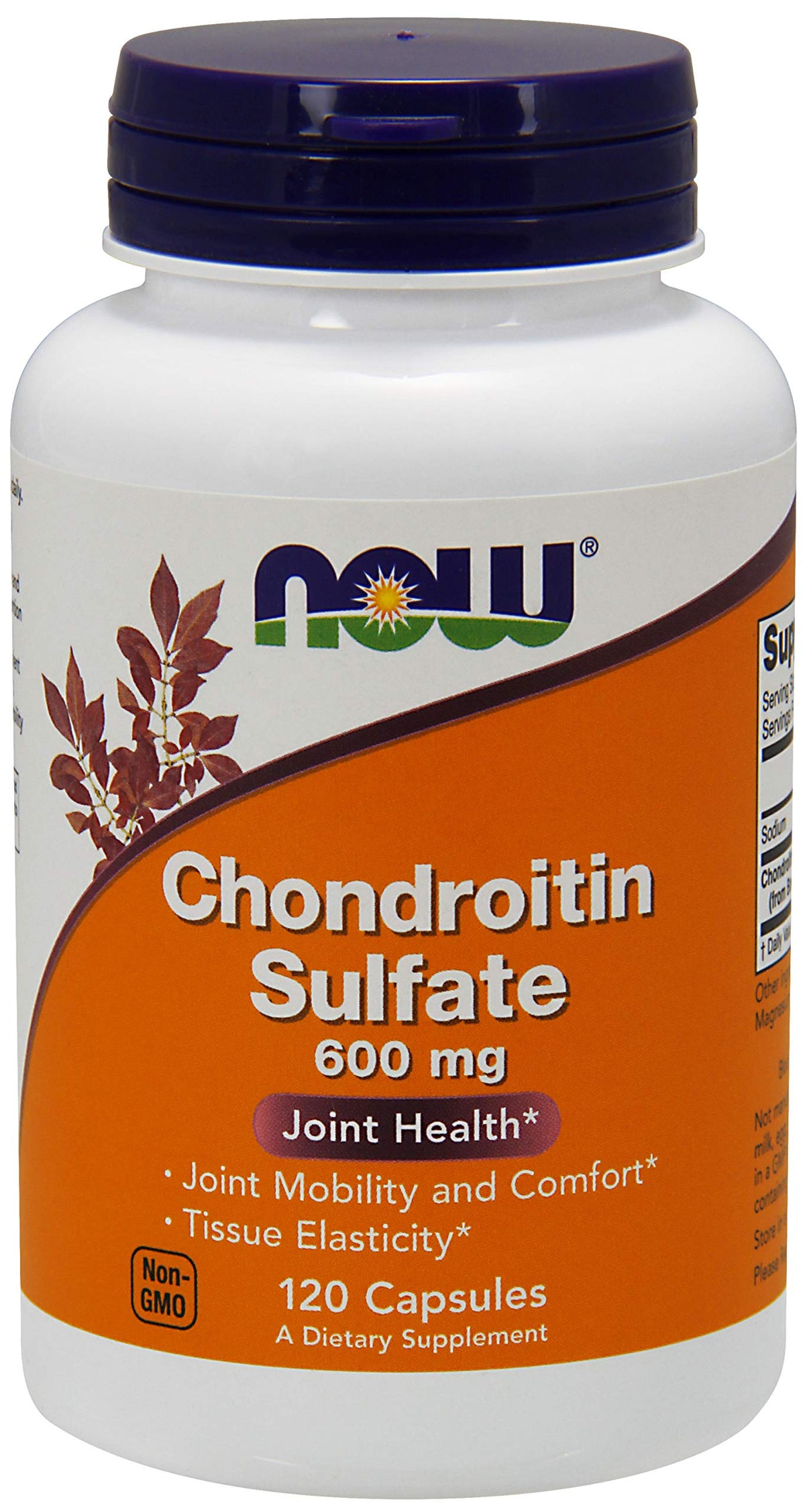 NOW Foods Chondroitin Sulfate 600mg bottle front view suggests joint support.