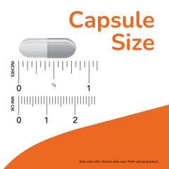 NOW Foods L-Carnosine label front emphasizing product details