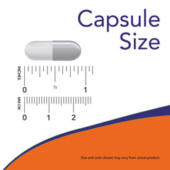 On-the-go packaging idea with NOW L-Glutamine capsules.