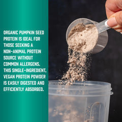 NOW Foods pumpkin seed protein powder in a bowl showcases nutty aroma and color.