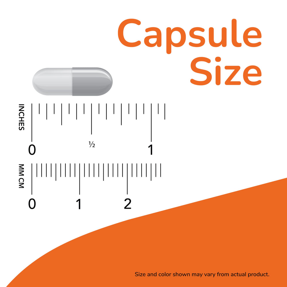 NOW Foods Pycnogenol capsules arranged to suggest daily antioxidant support