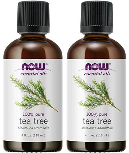 NOW Foods Tea Tree Oil bottle close-up highlighting purity and cleansing versatility.