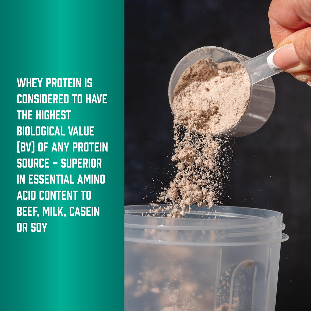 NOW Foods Whey Protein Isolate creamy vanilla flavor powder for shakes