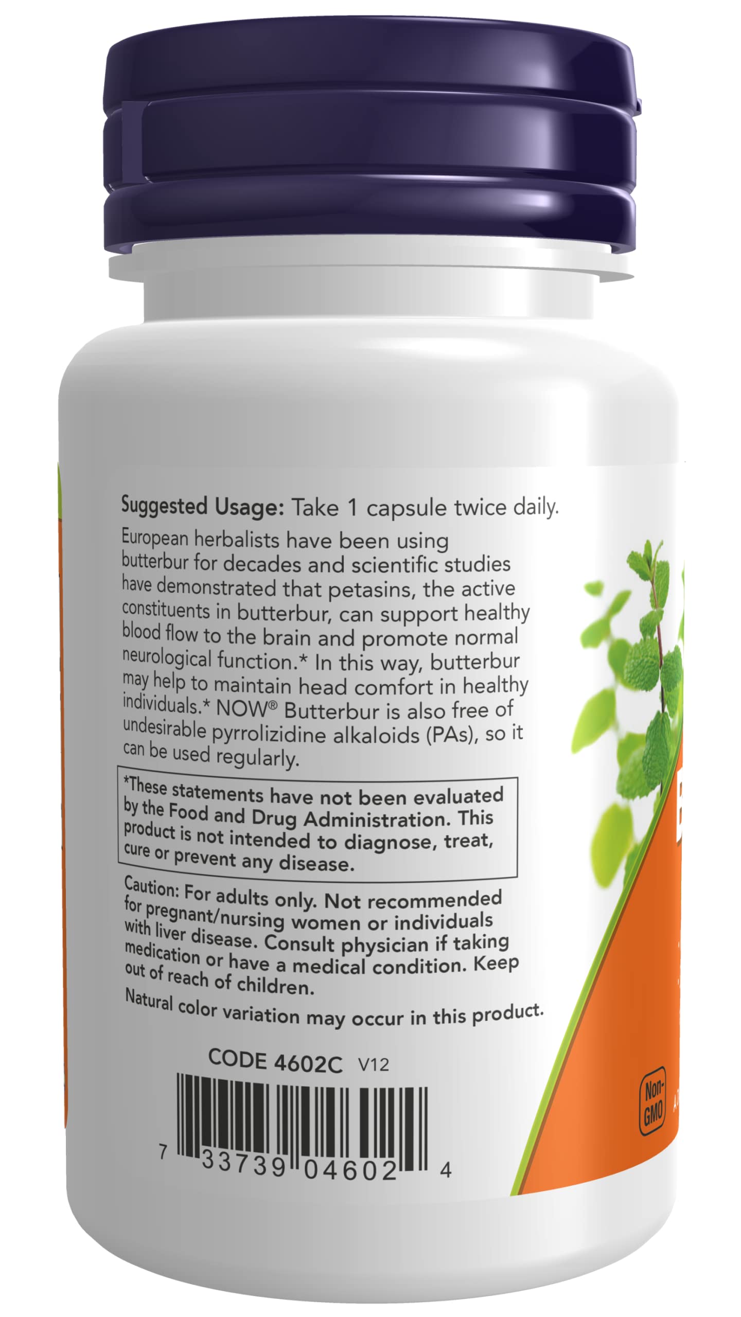 Now Foods Butterbur two-pack packaging on shelf for convenient daily use.