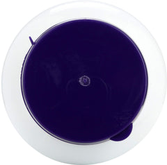 NOW Foods CoQ10 100mg closeup reveals gel texture and premium finish