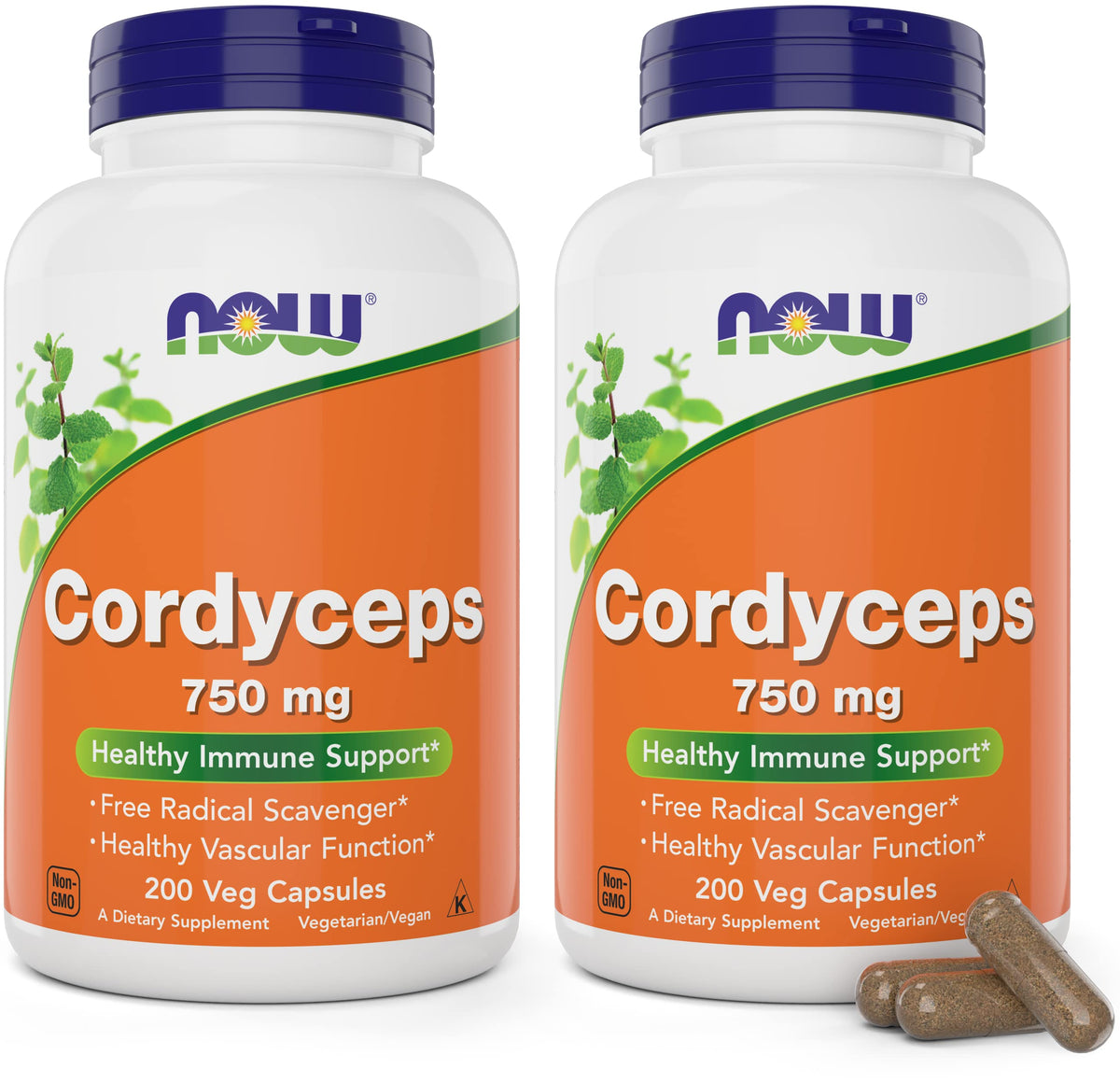 NOW Foods Cordyceps bottle front view for daily energy support.