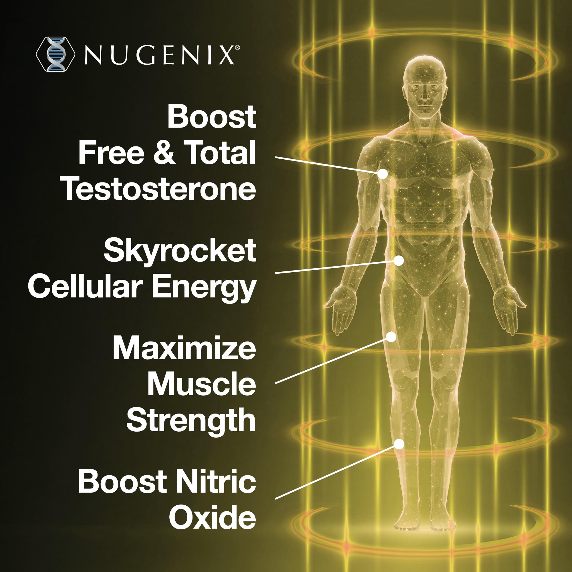 Nugenix Total-T2 Tesnor ingredient spotlight for potential testosterone support.