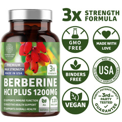 Number One Nutrition Berberine Plus with a balanced meal scene for digestion