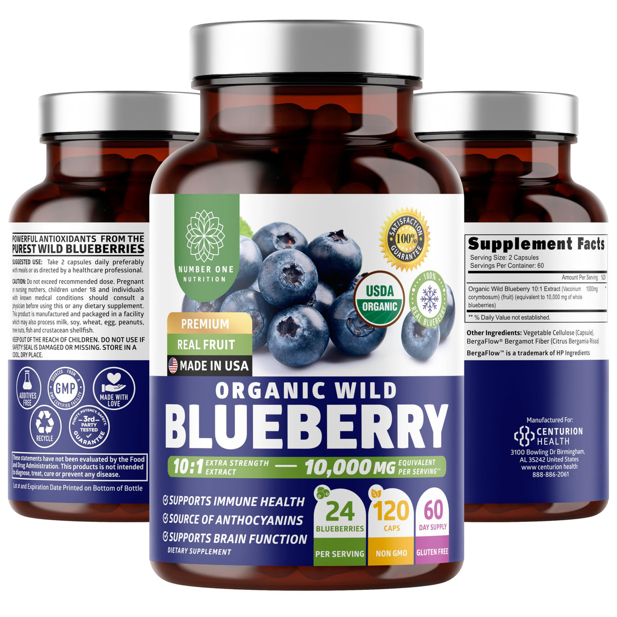 Number One Nutrition wild blueberry extract bottle showing 10:1 concentrate for immune support