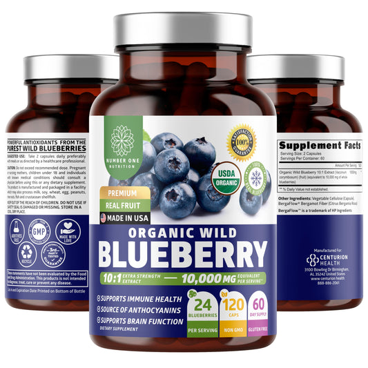 Number One Nutrition wild blueberry extract bottle showing 10:1 concentrate for immune support