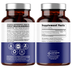 Number One Nutrition wild blueberry extract capsules ready for vegan daily use