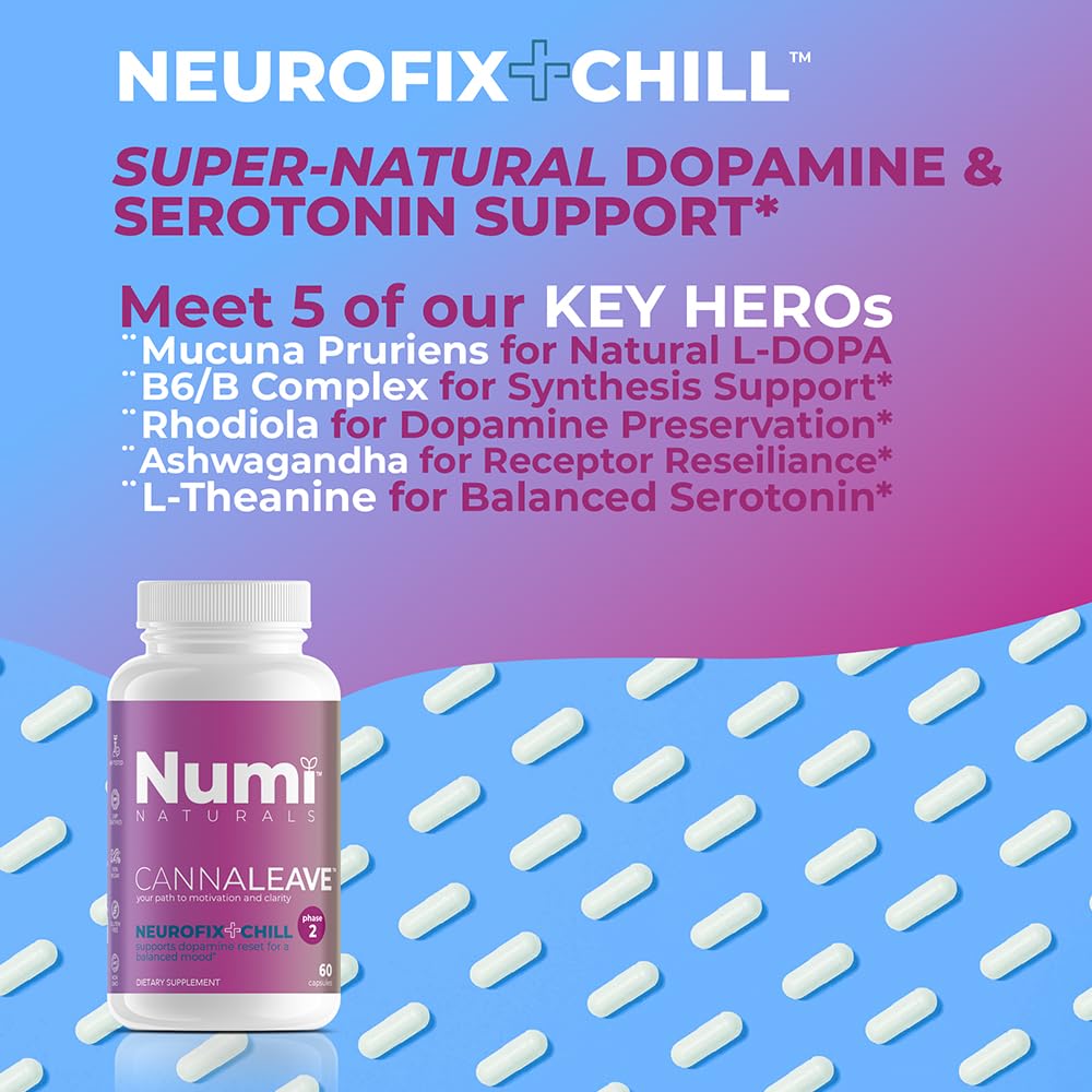 Numi Naturals Neurofix+Chill capsules on a desk suggesting calm, productive breaks.