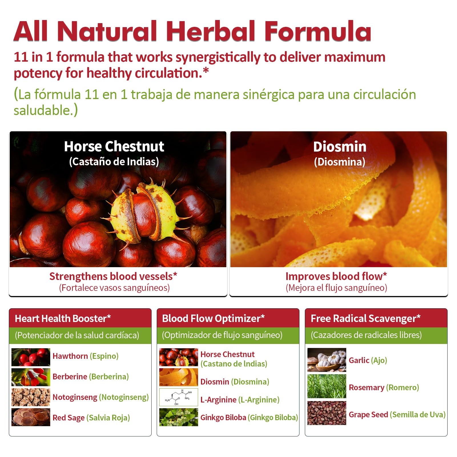 Horse chestnut icon representing traditional ingredient in Nurbetoxa