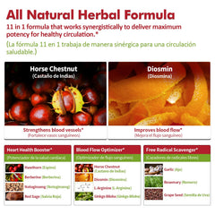 Horse chestnut icon representing traditional ingredient in Nurbetoxa