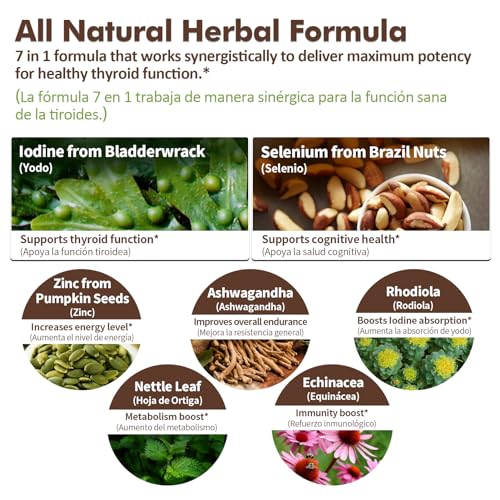 Ingredients panel of Nurbetoxa Thyroid Drops featuring Ashwagandha and Rhodiola.