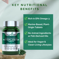 Kitchen counter setup highlights everyday wellness integration.