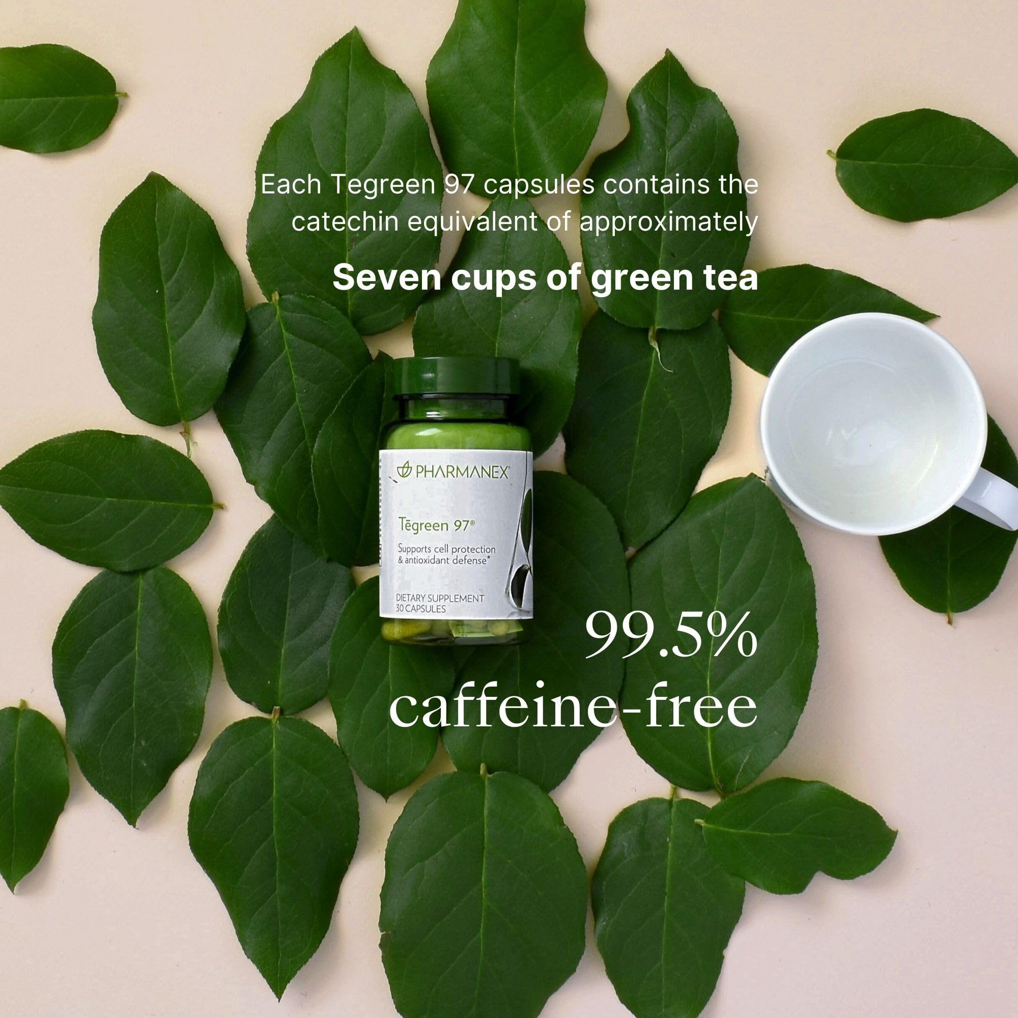 Nu Skin TeGreen 97 digestive enzymes icon indicating gut support benefits