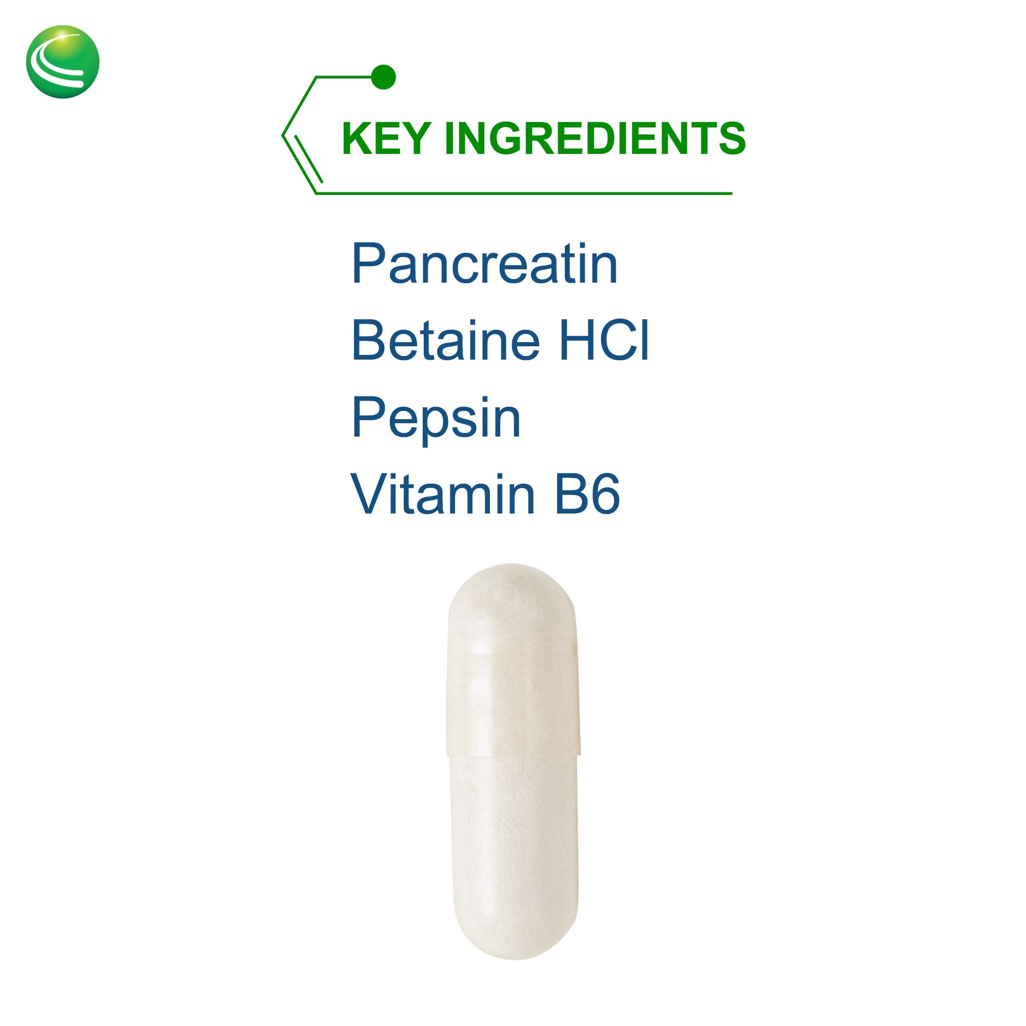 Nutra Biogenesis PanZyme label detail highlighting the enzyme blend and absorption focus.