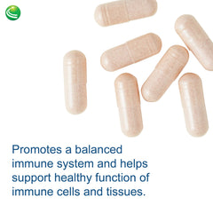 Nutra BioGenesis Sterol 117 pine bark extract close-up—90% proanthocyanidins highlight.