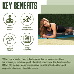 NutraBio Ashwagandha KSM-66 capsules poured for easy daily routine.