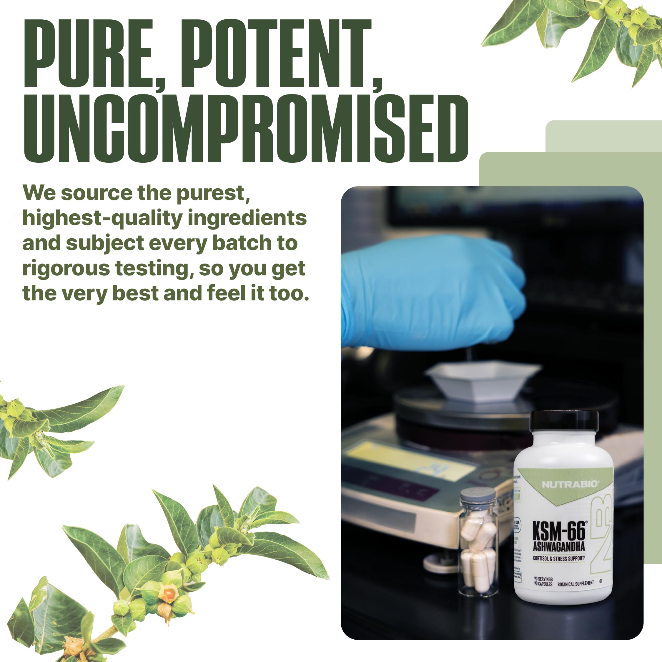 NutraBio Ashwagandha KSM-66 product shot emphasizing natural energy.