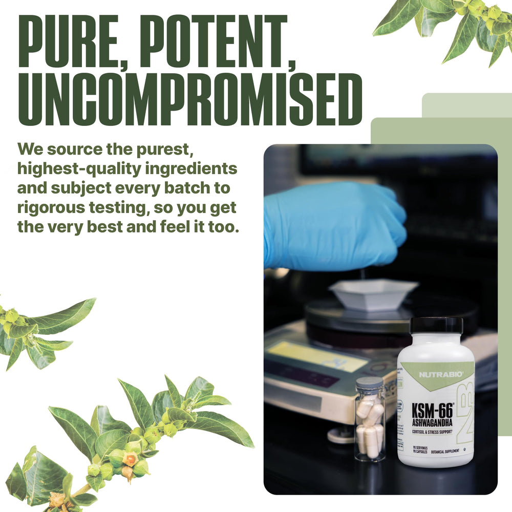 NutraBio Ashwagandha KSM-66 product shot emphasizing natural energy.
