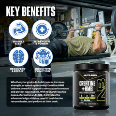 NutraBio Creatine + HMB scoop-dispensing demonstrates precise dosing for workouts.