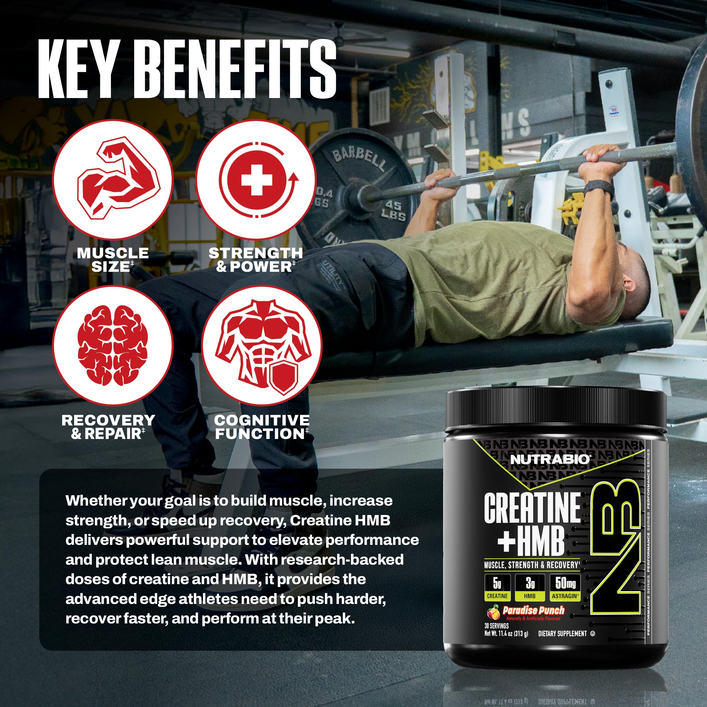 NutraBio Creatine + HMB scoop ready to mix for lean mass support.