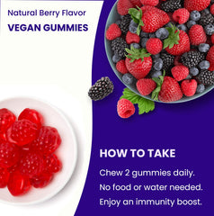 NutraChamps Elderberry Gummies suitable for kids and adults in daily use.