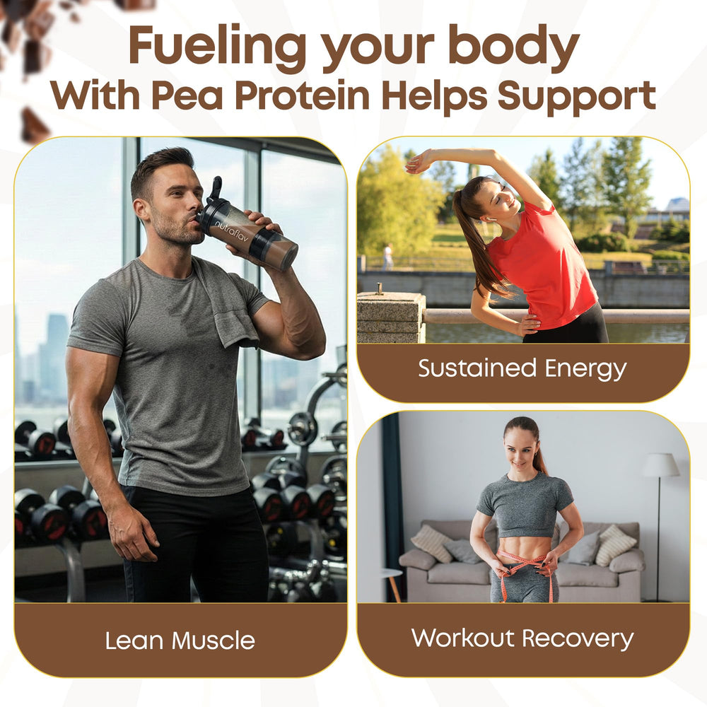 Nutraflav iron-rich protein powder for daily nutrient support.
