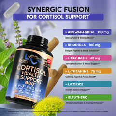 Graphic of ingredients list featuring Holy Basil, Licorice, Magnolia for balanced daily wellness.