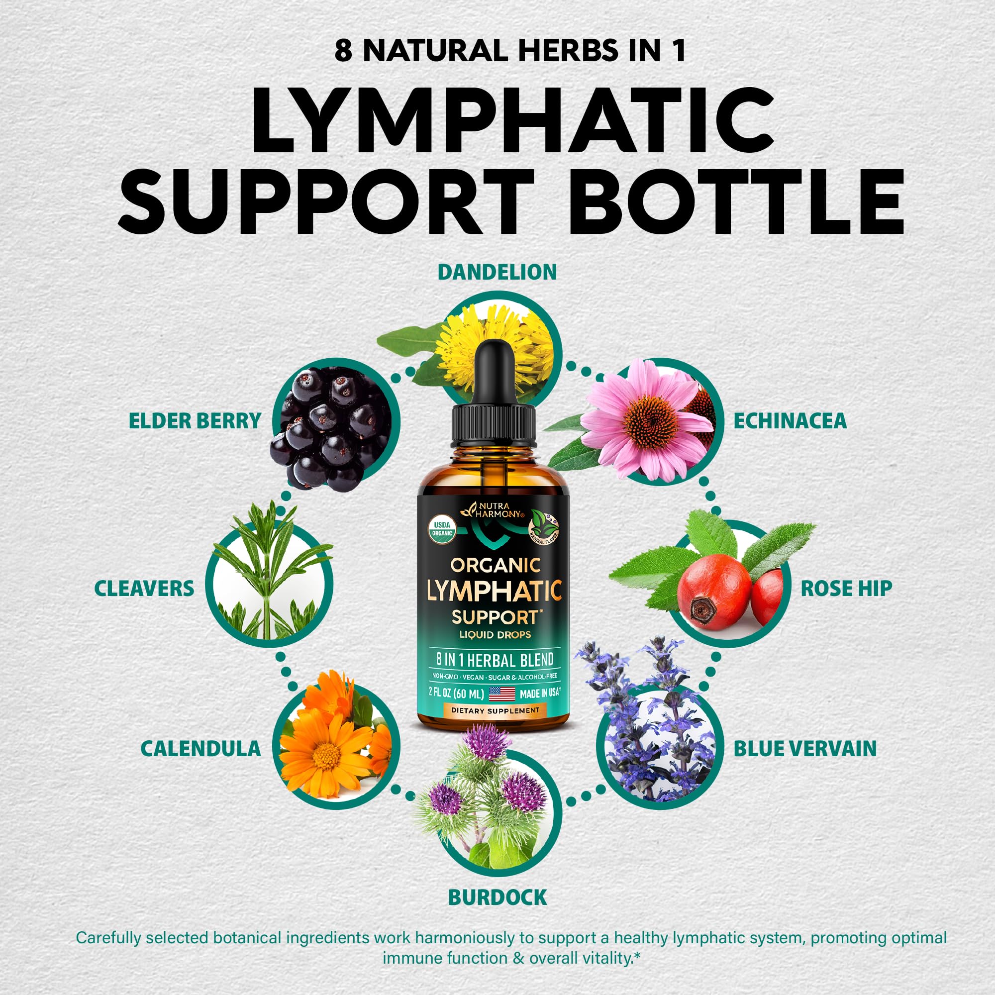 NUTRAHARMONY Lymph Drops rosehip and burdock ingredients