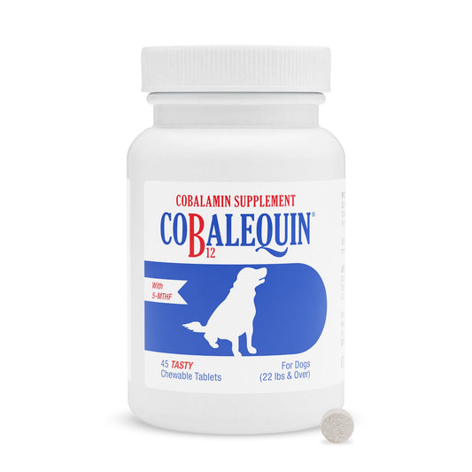 Nutramax Cobalequin B12 bottle shows dog chewables for B12 support.