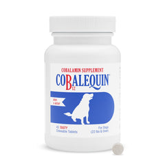 Nutramax Cobalequin B12 bottle shows dog chewables for B12 support.