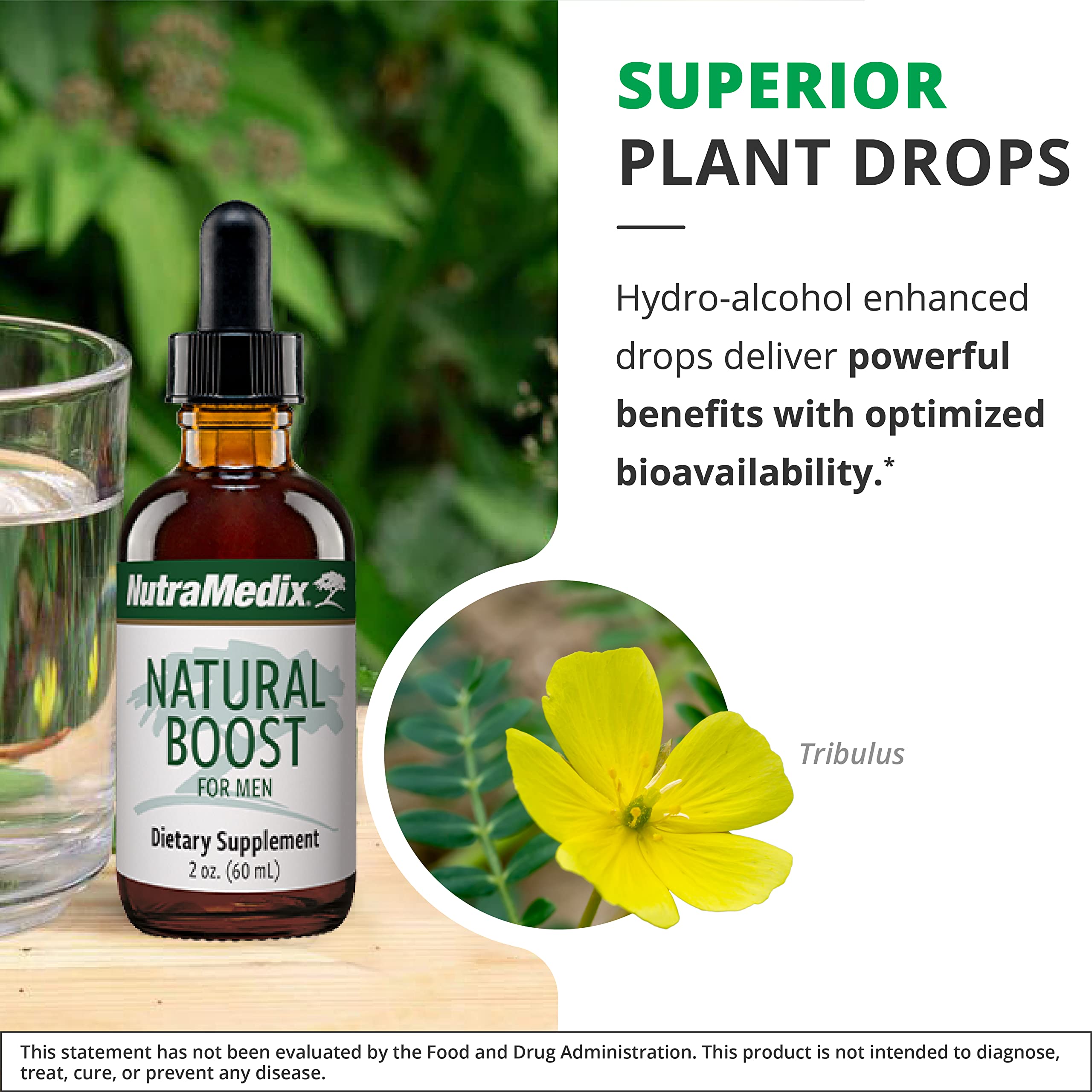 NutraMedix Natural Boost for Men tincture with dropper for precise dosing.