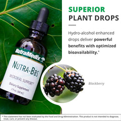 NutraMedix Nutra BBS display of capirona bark signals a diversified herbal formula.