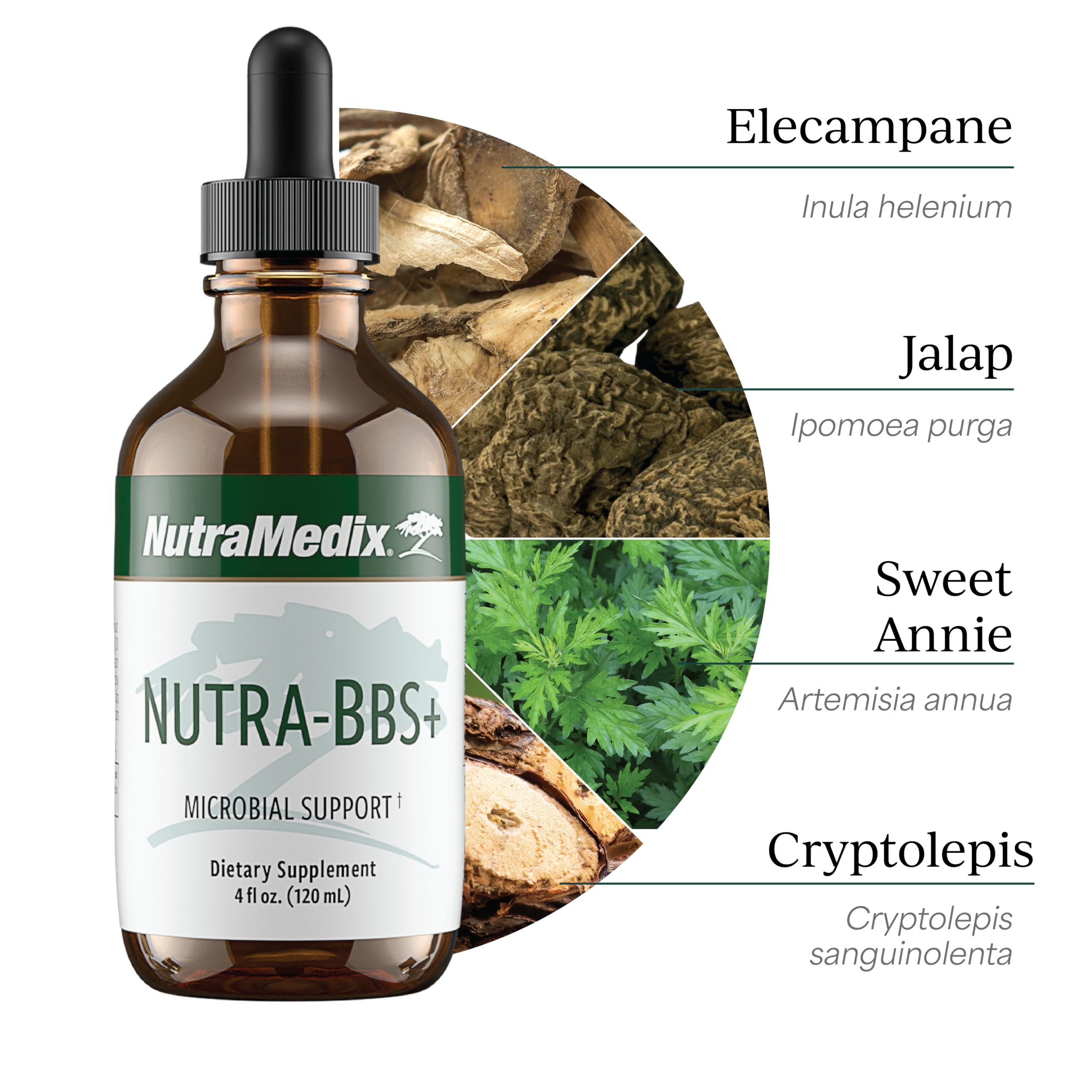 NutraMedix Nutra-BBS+ Artemisia annua highlighting antioxidant potential in use.